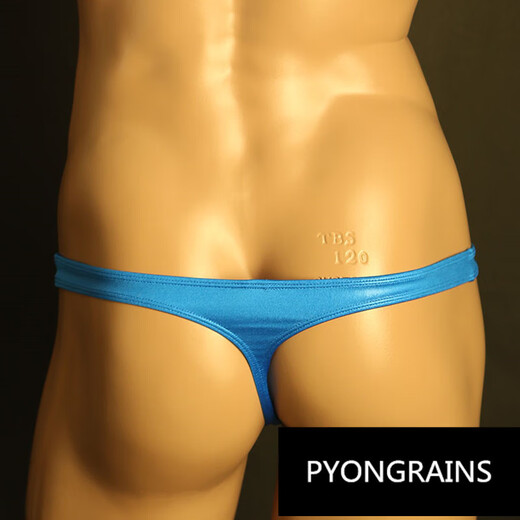 Men's T-Pants Breathable Thin Ice Silk T-Pants Men's T-Pants Middle Mesh Transparent High Elasticity Low Waist Comfortable Black S