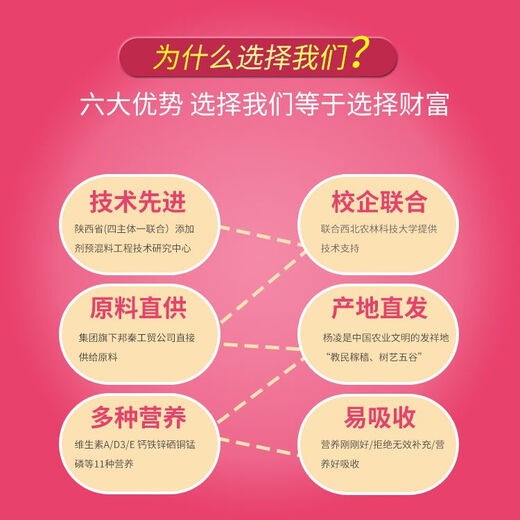 Bibang 5% cattle and sheep premix breeding ewe fattening feed cow compound additive trace elements for breeding sheep 5% beef cattle and sheep general T9225