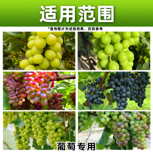 Baofeng chlorpyuron plant growth regulator grape special growth regulator regulating drug chlorpyuron genuine 100g*3 bottles small bottle economical package
