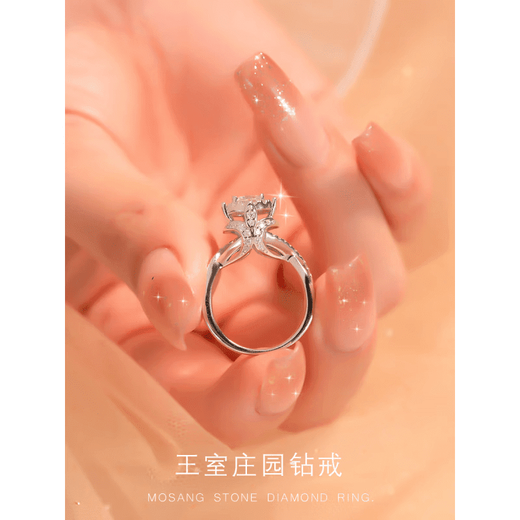 DR moissanite diamond ring platinum ring luxury wedding ring wedding diamond ring for girlfriend Royal Manor - 1 carat - US size 6 port number 12-13