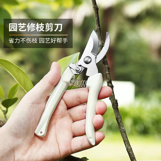 Stainless steel branch pruning shears for picking fruits, flowers and trees, garden fruit trees, flower branches, grafting, gardening scissors tools, pruning shears, branches/flower branches/fruit branches/potted plants