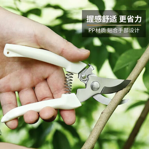 Stainless steel branch pruning shears for picking fruits, flowers and trees, garden fruit trees, flower branches, grafting, gardening scissors tools, pruning shears, branches/flower branches/fruit branches/potted plants