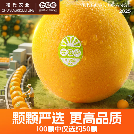 云冠橙净重10斤装2025褚橙官方云南冰糖橙当季新鲜水果礼盒橙子产地直发 优级果云冠橙 5kg