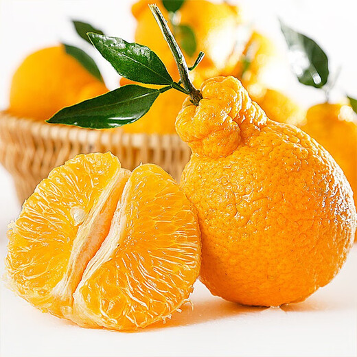 Kyodori Mitsunen Kae Shiranui Ugly Tangerine Ugly Mandarin Ugly Mandarin Ugly Mandarin Fresh seasonal fruit Selected large fruit Net weight 4.5Jin Jin is equal to 0.5kg (75-80mm)