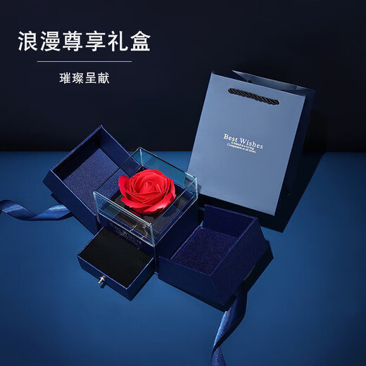 SAC Pearl Flower Brooch High-end Women's Light Luxurious Style Pin 2025 New High-End Corsage Suit Coat Accessories Ghostwriting Greeting Cards