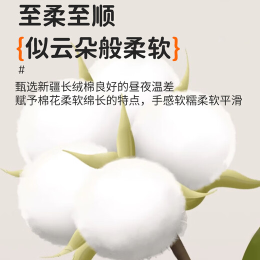 Catman Children's Socks Girls' Autumn and Winter Mid-Tube Socks Plus Velvet Thickened Terry Socks Winter Girls' Baby Winter Long Socks Girls' Thickened Terry Socks 5 Pairs 3-5 Years Old (M)