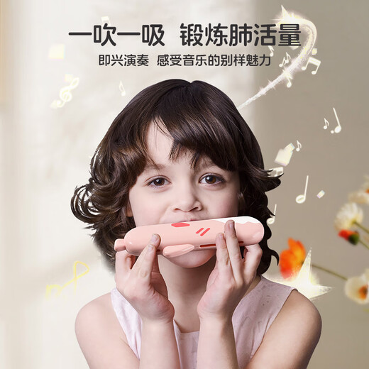 儿童口琴宝宝专用吹奏乐器正品早教婴儿玩具入门初学者幼儿口风琴 鲨鱼口琴【颜色随机/可备注】