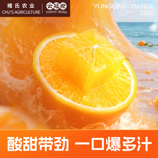 云冠橙净重10斤装2025褚橙官方云南冰糖橙当季新鲜水果礼盒橙子产地直发 优级果云冠橙 5kg