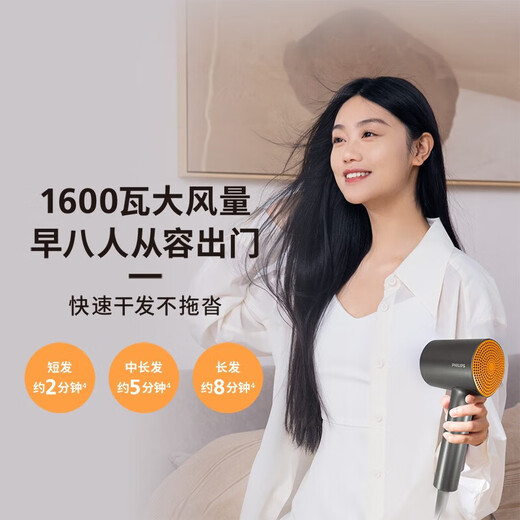 Philips (PHILIPS) hair dryer electric hair dryer household high-power negative ions 30 million negative ions hair care overheating protection lightweight body safe compact dormitory campus BHD321 black gold tube