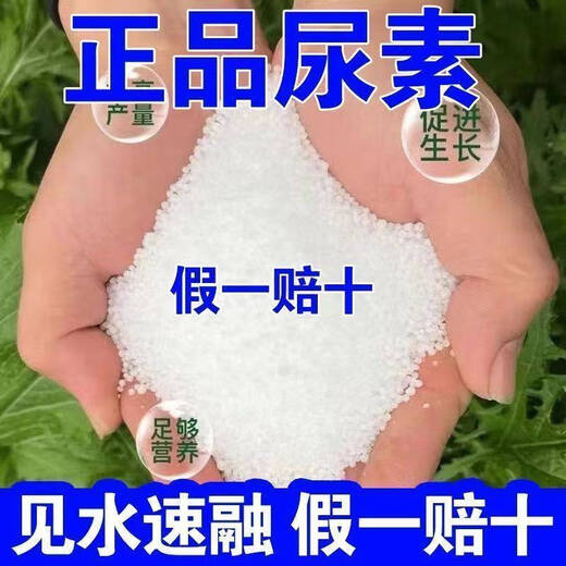 Small granular urea fertilizer, vegetable nitrogen fertilizer, flower growing vegetable fertilizer, fruit and vegetable fertilizer, plant potted agricultural general purpose, genuine small granular urea containing 46 nitrogen (instantly soluble in water) 900g bag, plants grow like crazy, great value + measuring spoon
