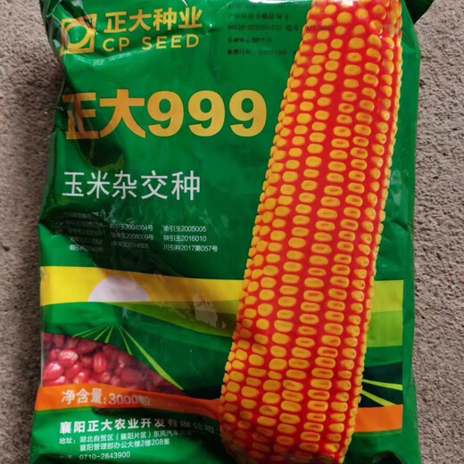 Zhengda 999 corn seeds, short stems, extra large sticks, red shafts, disease-resistant, drought-resistant and lodging-resistant corn seeds, nationally approved corn seeds. The loose name is one Jin Jin equal to 0.5 kilograms.