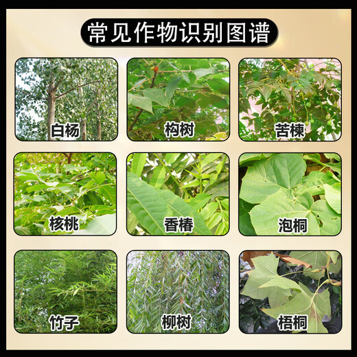 Cyclazinone and copper-based bamboo weed killer, rotten root removal and dead tree agent, special medicine for big tree rotten roots, Cyclazinone granules 500g*5 bags, spray directly