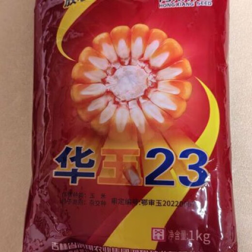 Huayu 23, a new high-yielding and high-quality corn product, 1kg original, suitable for planting at medium and high altitudes with good resistance. Huayu 23, a new high-yield and high-quality corn product, 1kg original, suitable for planting at medium and high altitudes, with good resistance.