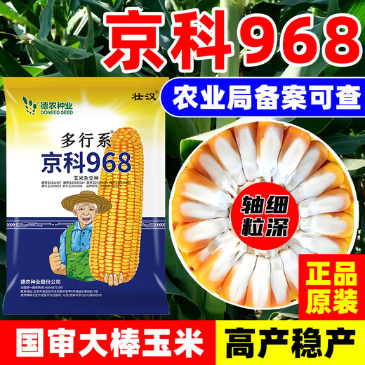 Zhuanghan National Approval Upgraded Corn Seed Big Stick High Yield Resistance to Lodging, Drought and Disease Resistance High Germination Rate Grain Pressing Scale Academy of Agricultural Sciences Baogu National Approval Damaya 3950 grains High Yield Grain Pressing Scale