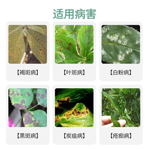 Bonsec 30% phenylpropiconazole fungicide sheath blight leaf spot rust rice smut rice vegetable pesticide