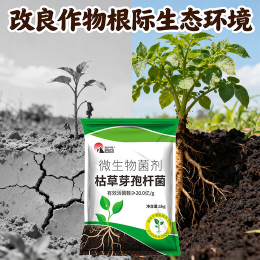 Nanhua Qianmu Bacillus subtilis agricultural microbial agent to prevent root rot water-soluble fertilizer to improve soil rooting feed addition Bacillus subtilis 1000g*1 bag