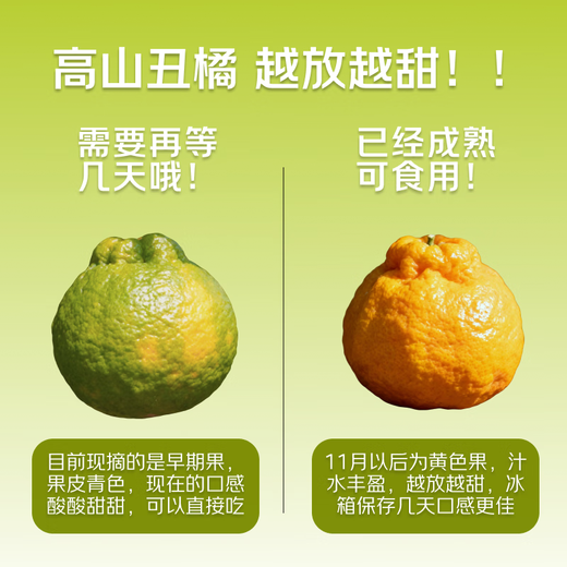 早熟新鲜丑橘应季新鲜水果酸甜多汁整箱包邮 5斤装