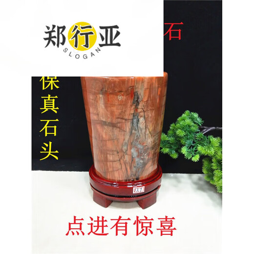 Zheng Xingya Xinjiang petrified wood red material tree fossil strange stone ornamental stone home decoration head gift collection coffee color No. 91 1