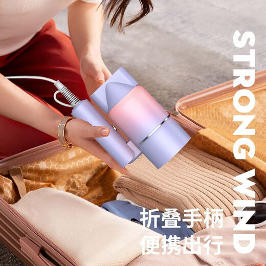Hair dryer household foldable high-power dormitory silent blue light negative ion hair dryer pink basic folding model 800W national standard