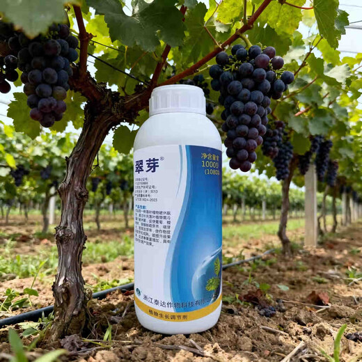 Taihui Li Cui Ya 50% Monocyanamide Ammonia Grape Peach Kiwi Fruit Tree Accelerating Bud Sleeping Agent Monocyanogen Ammonium Growth Regulator 250ml*8 bottles Production date September 25 Shelf life 2 years