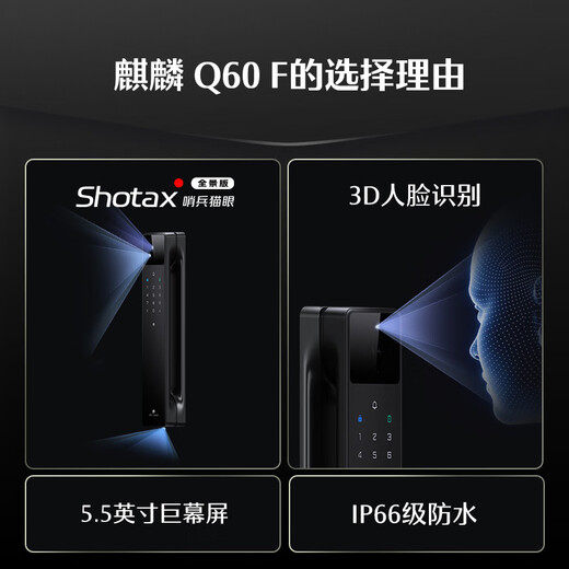 DESMAN serrure de porte intelligente 3D reconnaissance faciale visuelle oeil de chat sentinelle trois caméras grand écran mot de passe d'empreinte digitale serrure électronique Q60F