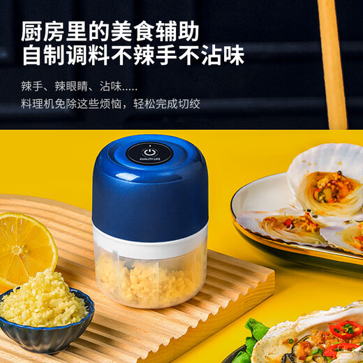 Wanzhuang Electric Garlic Machine Wireless Mini Household Meat Mincer 100ML White Meat Mincer - Upgraded Model