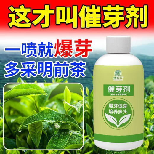 Plant bursting buds, buds, succulent leaf inserts, germination promotion, household flower growing fertilizer, old pile plant clear leaf fertilizer, old pile dry yellow leaves first aid, new buds grow, 2 barrels 5000ml