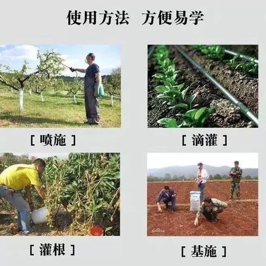 Authentic Agricultural Potassium Nitrate for Vegetables, Flowers, Fruit Trees, Wheat, Universal High-Nitrogen and High-Potassium Fertilizer to Increase Yield, Foliar Fertilizer Authentic Five Jin Jin equals 0.5 kg Bulk Sample Authenticity Guaranteed