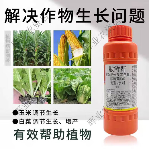 Guoguang Youlehong 8% ethylamine authentic growth regulator that increases root growth, promotes cell division, preserves flowers and fruits, 500ml
