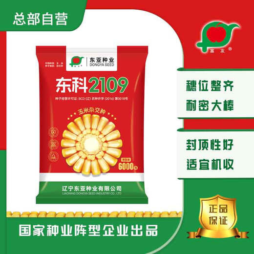 Штаб-квартира Fuyou, прямая доставка полевых семян кукурузы Dongke 2109, положение уха Ци Наими, большая палка, укупорочная, хорошая машина, урожай 6000 зерен