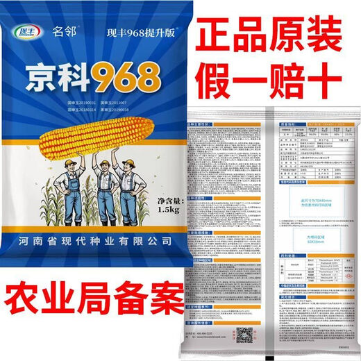 Rose Jingke 968 corn seeds, high yield, double sticks, low stems, lodging resistance, disease resistance, drought resistance and waterlogging resistance, genuine national approved white shaft, new species promotion, genuine 6Jin Jin equal to 0.5kg, can be planted on 2.2 acres of land + nutritional coating