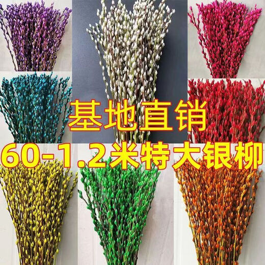 Silver willow real flowers, fresh branches, New Year's Eve flowers, red dried flowers, blessing bucket, silver willow, hydroponic plants, flowers, living room interior decoration, high-quality A-grade silver willow festive red 45 cm, 20 pieces + 2 small lanterns