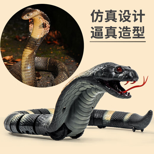 Qiyuemang Douyin Fernbedienung COBRA Kinderstreichspielzeug Elektrische Induktion Simulation Schlange Krabbeln gruselige Katzenschlange