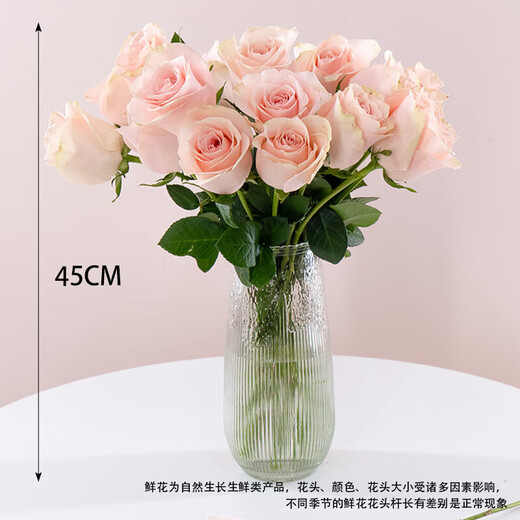 Exclusive for live broadcast: 10 Aisha roses (iron-headed large bud roses) (length 45-60CM) 1 serving