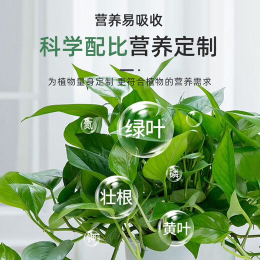 Beike Shi Pai Yi Fa San nutrient solution plant universal flower fertilizer household potted plants hydroponic rich bamboo universal nutrient solution 3 bottles