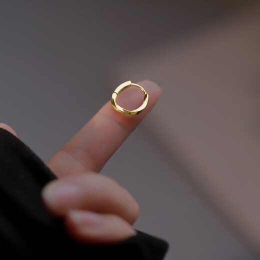 Ubis Ring Plain Hoop Earrings Women's Simple Cold Style Personalized Earrings Earrings 2024 New Earrings Gold Pair