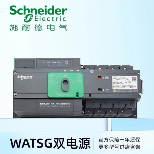 Schneider-100A/100A/4A32A63A100A2P3P4P dual power automatic transfer switch A basic type PC level_2P_32A