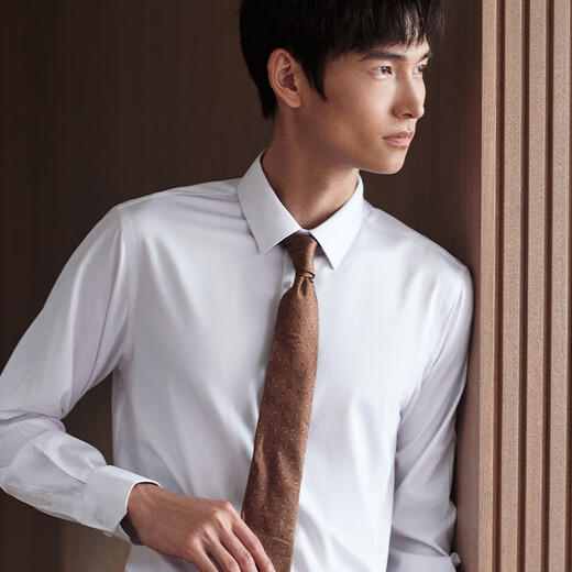 Ankündigung Vogel formelles langärmeliges Hemd Herrenherbst [leicht zu entfernen Flecken] Männer mit langärmeligem weißen Revers Shirt Casual Shirt White 41 (175/96)