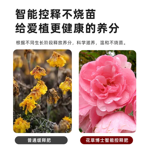 Golden Nutrition 1+1 Household General Plant Coated Fertilizer Granular Fertilizer Vegetable Nitrogen, Phosphorus and Potash Fertilizer Organic Silicon Fertilizer Golden Nutritional Fertilizer 300g/bag*1 bag free spoon