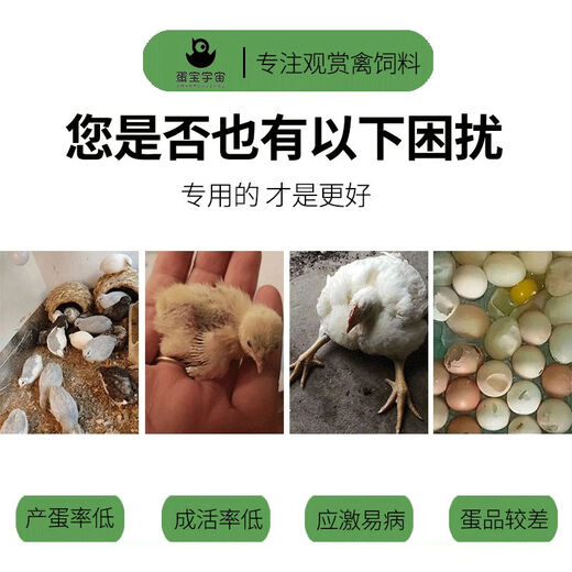 Rutin chicken special electrolytic multi-dimensional bird feed additive for laying hens and chicks electrolyte multivitamin 150g calcium and phosphorus supplement 150g--special nourishing formula for laying hens