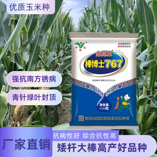 Сезон роз. Подлинные супервысокоурожайные семена кукурузы Jinyuan Dr. Yubang 767, импортированные без покрытия, обладающие комплексной устойчивостью и сильными семенами Dr. Bang 767, три мешка.