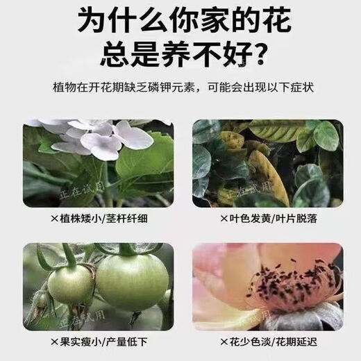 Urea Fertilizer Agricultural Nitrogen Fertilizer for Vegetables, Compound Fertilizer for Planting Flowers, Fruit Trees, Potted Plants, Universal Flower Fertilizer Genuine Weihe Medium and Small Granular Urea Contains 46% Nitrogen 1.5kg Trial