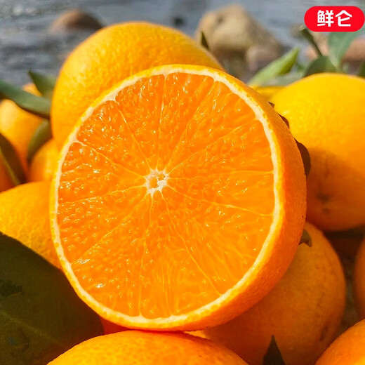 Jingdida Sichuan Ehime No. 38 jelly orange, net weight 9Jin Jin is equal to 0.5kg, gift box with 16 large fruits, straight from the source