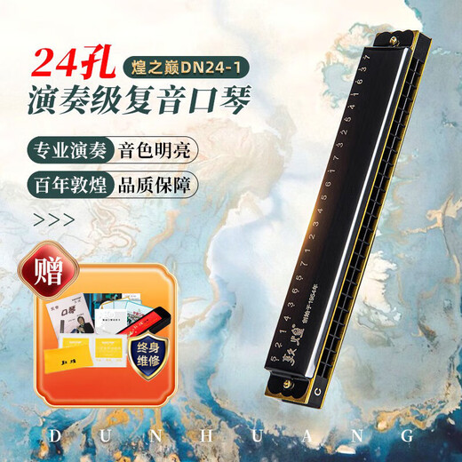 Dunhuang 24-hole polyphonic harmonica DN24-1 black, recommended for adult beginners, C key, entry-level performance