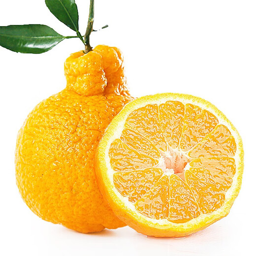 Kyodori Mitsunen Kae Shiranui Ugly Tangerine Ugly Mandarin Ugly Mandarin Ugly Mandarin Fresh seasonal fruit Selected large fruit Net weight 4.5Jin Jin is equal to 0.5kg (75-80mm)