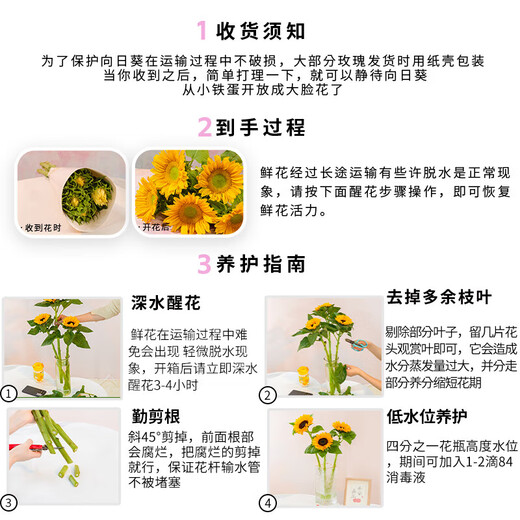 Sunflower Birthday Gift Fresh Cut Flowers Yunnan Base Direct Delivery Fresh Sunflower Flowers Graduation Bouquet 3 Sunflowers Medium Large Flower Medium Large Flower Sunflower