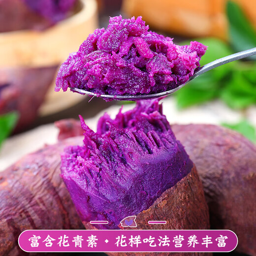 Chunfule Sand Purple Sweet Potato Straight from the Origin Sweet Potato and Sweet Potato Powder Glutinous and Sweet Seasonal Fresh Vegetables Are Digging and Found 5 Jin Jin is equal to 0.5 kg Selected package Hand-picked by experienced farmers Net weight 4.5 Jin Jin is equal to 0.5 kg