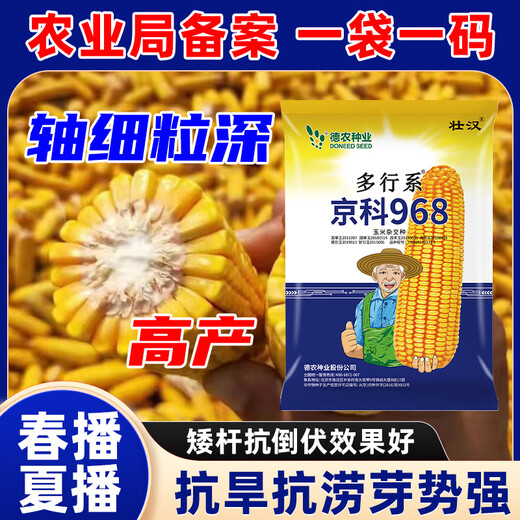 Zhuanghan National Approval Upgraded Corn Seed Big Stick High Yield Resistance to Lodging, Drought and Disease Resistance High Germination Rate Grain Pressing Scale Academy of Agricultural Sciences Baogu National Approval Damaya 3950 grains High Yield Grain Pressing Scale