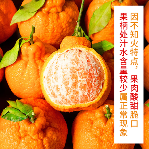 Kyodori Mitsunen Kae Shiranui Ugly Tangerine Ugly Mandarin Ugly Mandarin Ugly Mandarin Fresh seasonal fruit Selected large fruit Net weight 4.5Jin Jin is equal to 0.5kg (75-80mm)