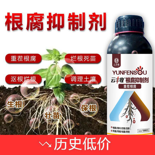 Yunfeng Harvest Root Rot Agent, Root Rot Nemesis, Yellow Leaves, Rotted Roots, Rotted Trees, Rooted Activated Soil, Factory Direct Sales, 1000g*12 Bottles, Exclusive Factory Price for Large Customers